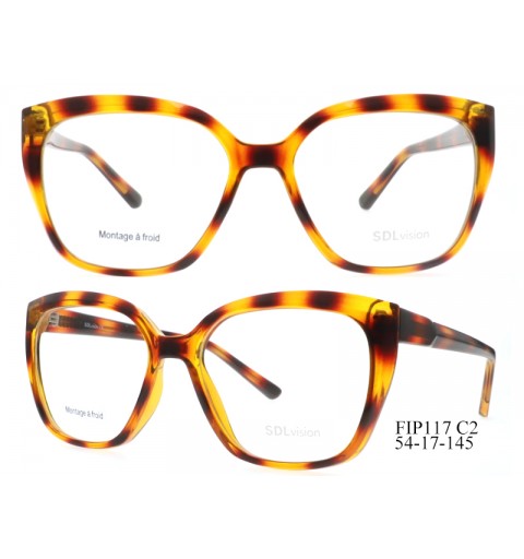 FIP117 54-17-145 C2